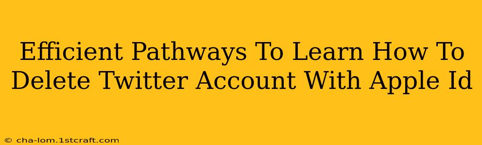 Efficient Pathways To Learn How To Delete Twitter Account With Apple Id