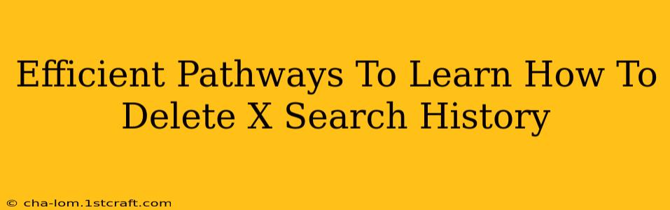 Efficient Pathways To Learn How To Delete X Search History