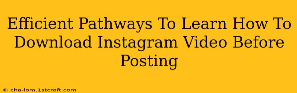 Efficient Pathways To Learn How To Download Instagram Video Before Posting