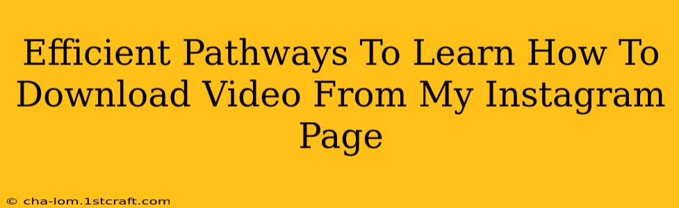 Efficient Pathways To Learn How To Download Video From My Instagram Page