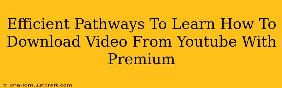 Efficient Pathways To Learn How To Download Video From Youtube With Premium