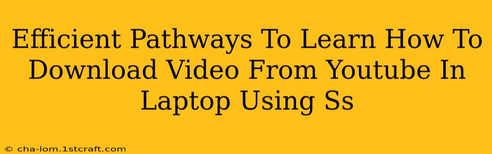 Efficient Pathways To Learn How To Download Video From Youtube In Laptop Using Ss