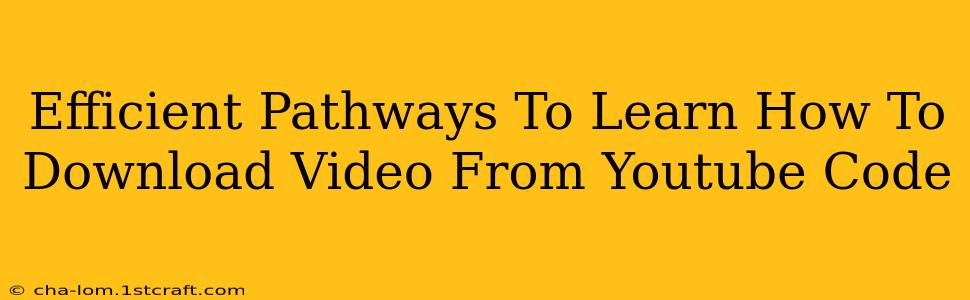 Efficient Pathways To Learn How To Download Video From Youtube Code