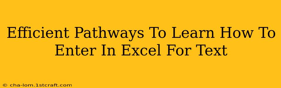 Efficient Pathways To Learn How To Enter In Excel For Text