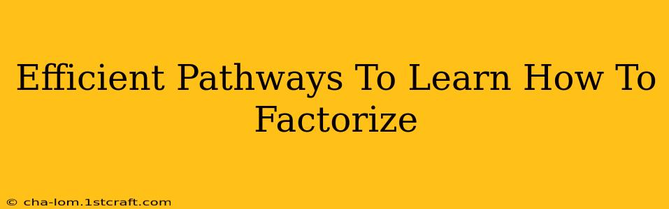 Efficient Pathways To Learn How To Factorize