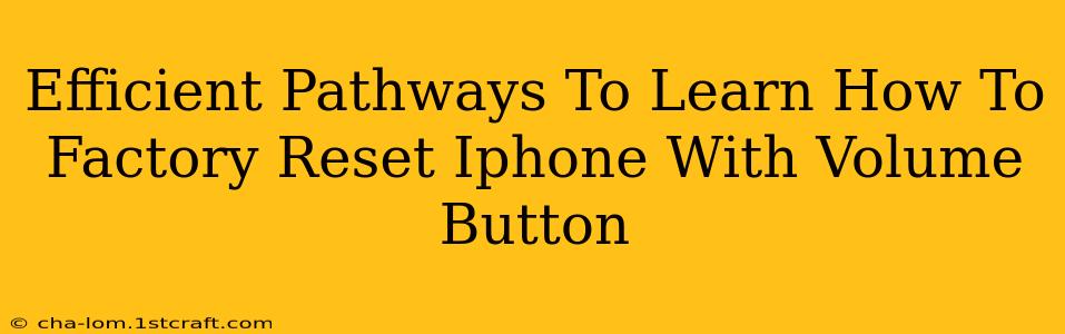 Efficient Pathways To Learn How To Factory Reset Iphone With Volume Button