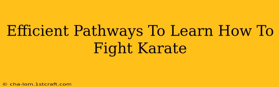 Efficient Pathways To Learn How To Fight Karate