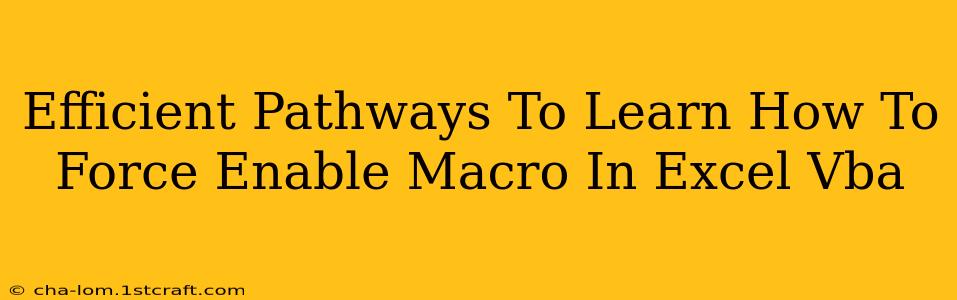 Efficient Pathways To Learn How To Force Enable Macro In Excel Vba
