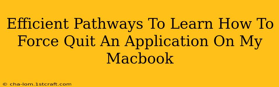 Efficient Pathways To Learn How To Force Quit An Application On My Macbook