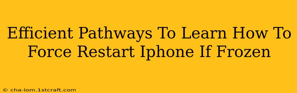 Efficient Pathways To Learn How To Force Restart Iphone If Frozen