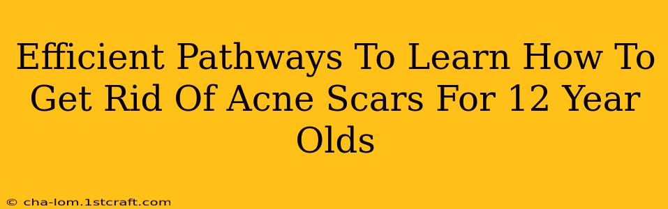 Efficient Pathways To Learn How To Get Rid Of Acne Scars For 12 Year Olds