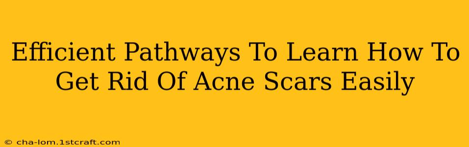 Efficient Pathways To Learn How To Get Rid Of Acne Scars Easily