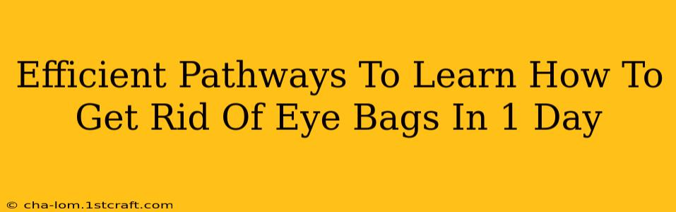 Efficient Pathways To Learn How To Get Rid Of Eye Bags In 1 Day