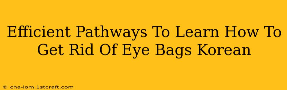 Efficient Pathways To Learn How To Get Rid Of Eye Bags Korean