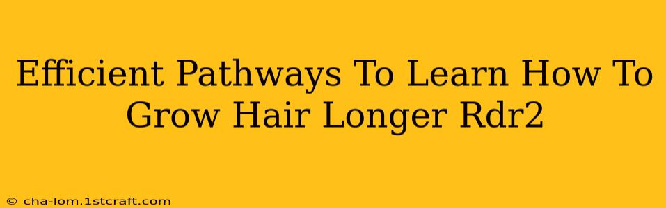 Efficient Pathways To Learn How To Grow Hair Longer Rdr2