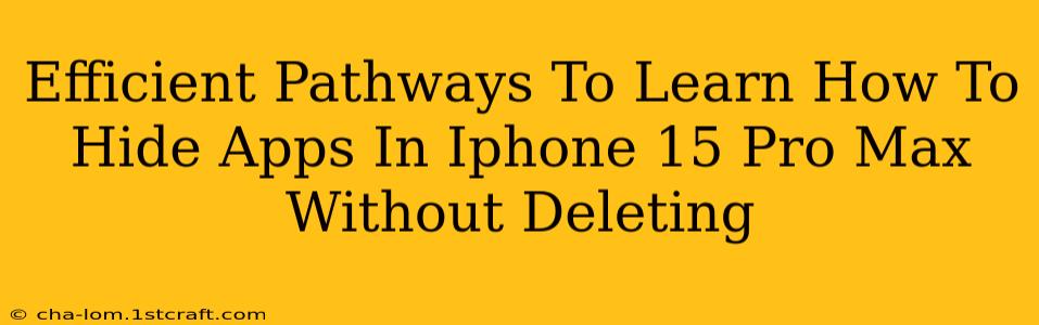 Efficient Pathways To Learn How To Hide Apps In Iphone 15 Pro Max Without Deleting