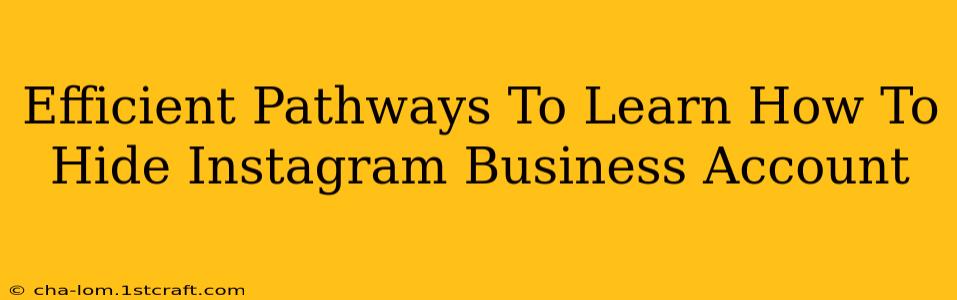 Efficient Pathways To Learn How To Hide Instagram Business Account