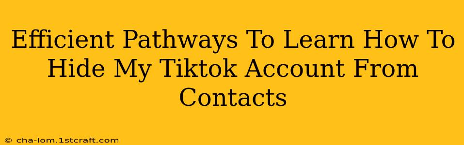 Efficient Pathways To Learn How To Hide My Tiktok Account From Contacts