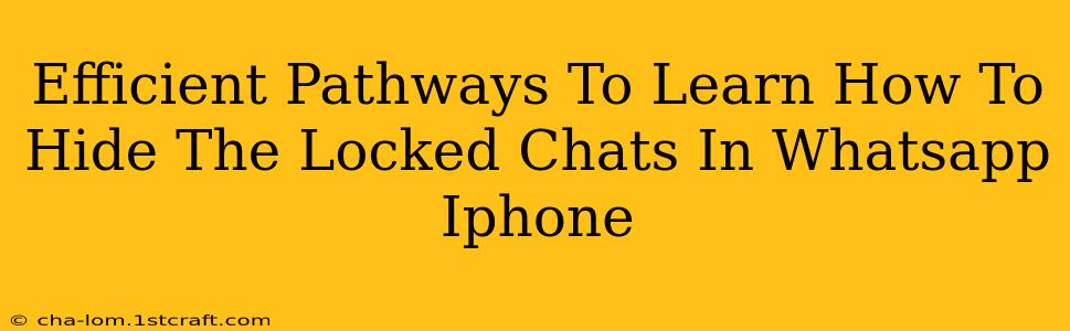 Efficient Pathways To Learn How To Hide The Locked Chats In Whatsapp Iphone