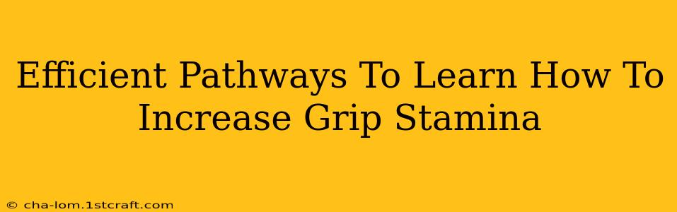 Efficient Pathways To Learn How To Increase Grip Stamina