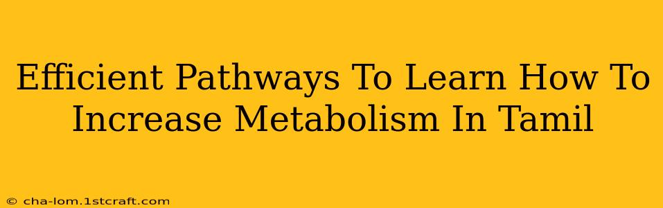 Efficient Pathways To Learn How To Increase Metabolism In Tamil