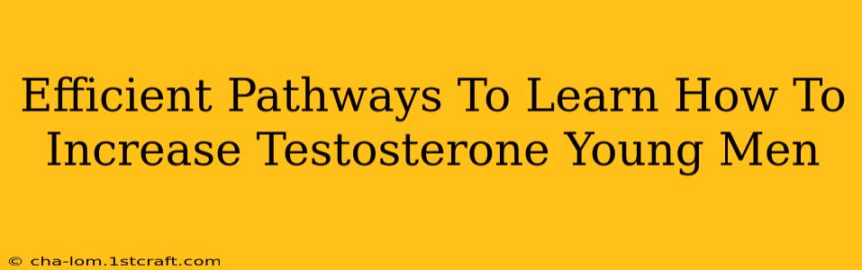 Efficient Pathways To Learn How To Increase Testosterone Young Men