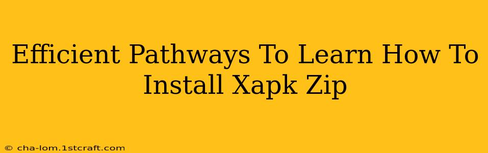 Efficient Pathways To Learn How To Install Xapk Zip