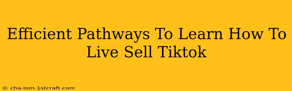 Efficient Pathways To Learn How To Live Sell Tiktok