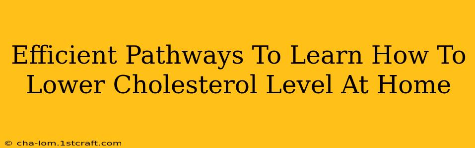 Efficient Pathways To Learn How To Lower Cholesterol Level At Home