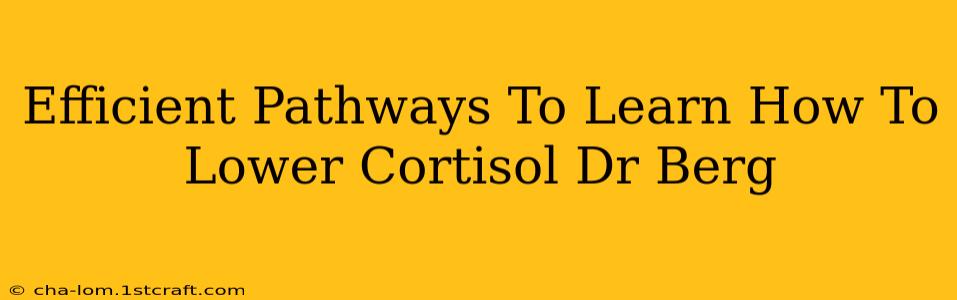 Efficient Pathways To Learn How To Lower Cortisol Dr Berg