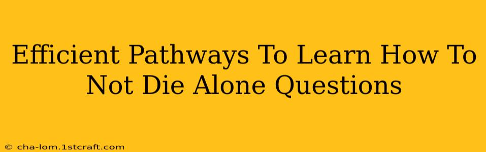 Efficient Pathways To Learn How To Not Die Alone Questions