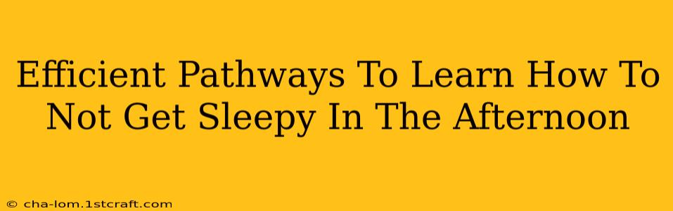 Efficient Pathways To Learn How To Not Get Sleepy In The Afternoon