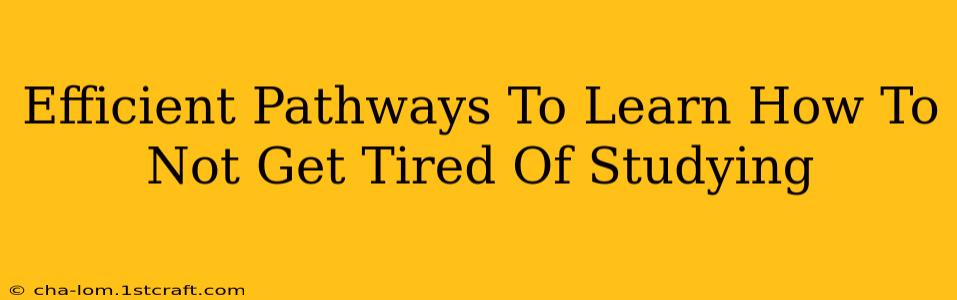 Efficient Pathways To Learn How To Not Get Tired Of Studying