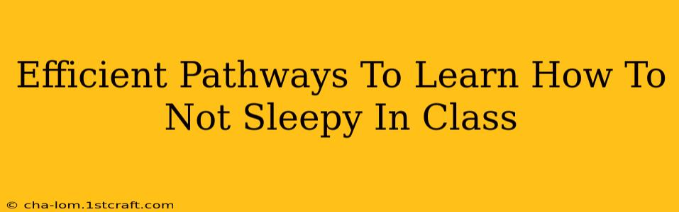 Efficient Pathways To Learn How To Not Sleepy In Class