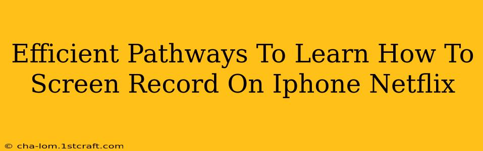 Efficient Pathways To Learn How To Screen Record On Iphone Netflix