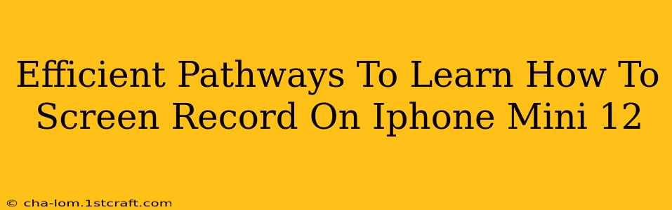 Efficient Pathways To Learn How To Screen Record On Iphone Mini 12