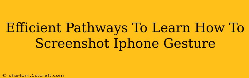 Efficient Pathways To Learn How To Screenshot Iphone Gesture