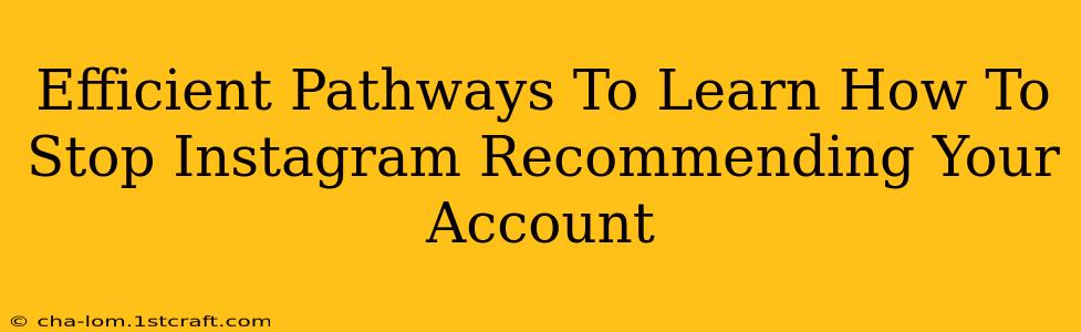 Efficient Pathways To Learn How To Stop Instagram Recommending Your Account