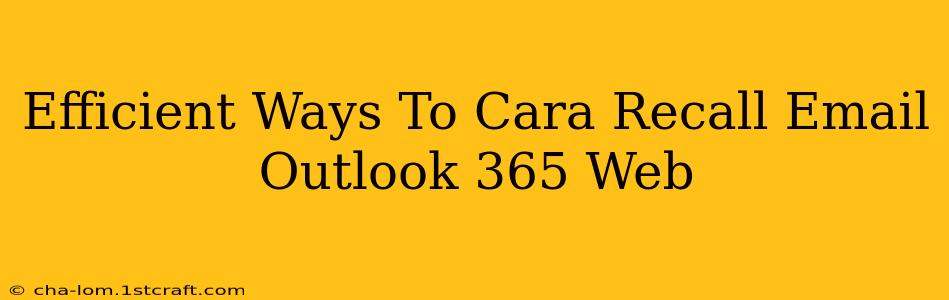 Efficient Ways To Cara Recall Email Outlook 365 Web