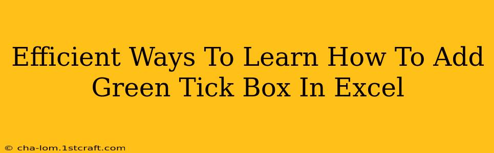 Efficient Ways To Learn How To Add Green Tick Box In Excel