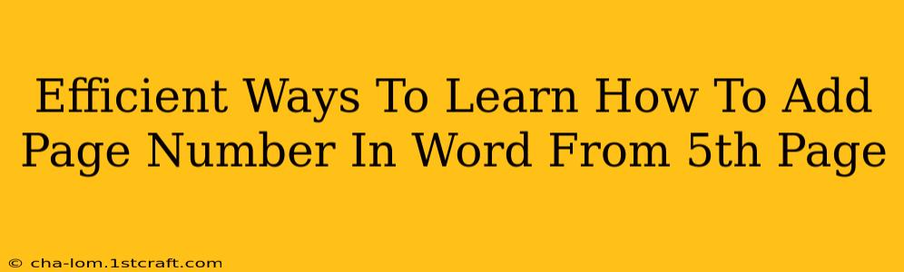 Efficient Ways To Learn How To Add Page Number In Word From 5th Page