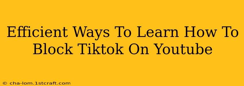 Efficient Ways To Learn How To Block Tiktok On Youtube