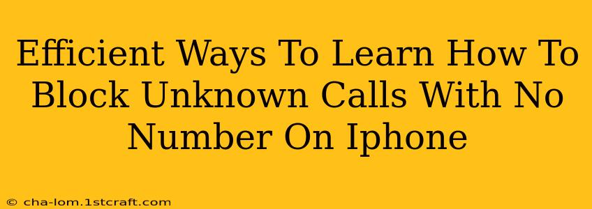 Efficient Ways To Learn How To Block Unknown Calls With No Number On Iphone