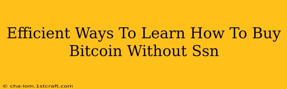 Efficient Ways To Learn How To Buy Bitcoin Without Ssn