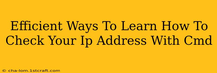 Efficient Ways To Learn How To Check Your Ip Address With Cmd