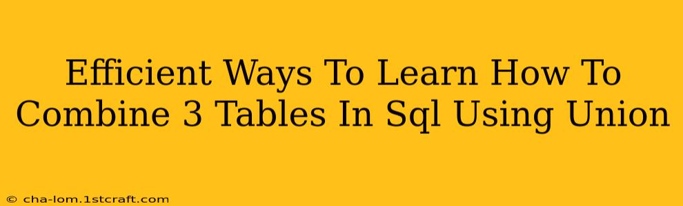 Efficient Ways To Learn How To Combine 3 Tables In Sql Using Union