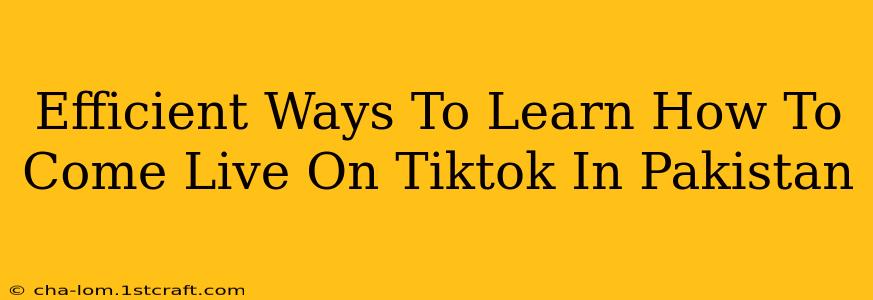 Efficient Ways To Learn How To Come Live On Tiktok In Pakistan