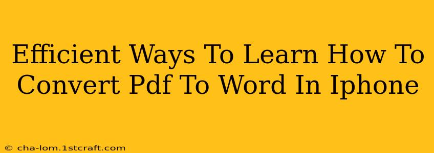 Efficient Ways To Learn How To Convert Pdf To Word In Iphone