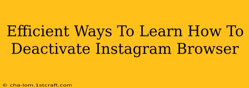 Efficient Ways To Learn How To Deactivate Instagram Browser