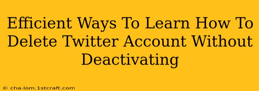 Efficient Ways To Learn How To Delete Twitter Account Without Deactivating